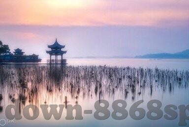竞彩足球及时比分-竞彩足球实时比分，一场数字背后的激情与策略交响曲