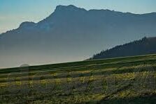 足球比分怎么赔-足球比分赔付机制全解析，从原理到风险防范